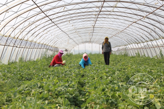 幸福嬗变的同德村 精准施策的工作队 幸福嬗变的同德村 精准施策的工作队