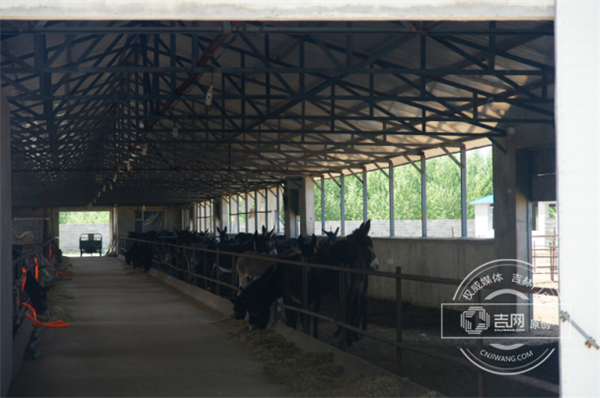 图片2_副本.png 图片2_副本.png