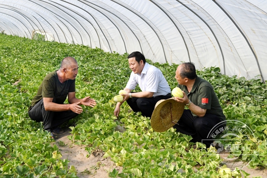 图片12.jpg 图片12.jpg